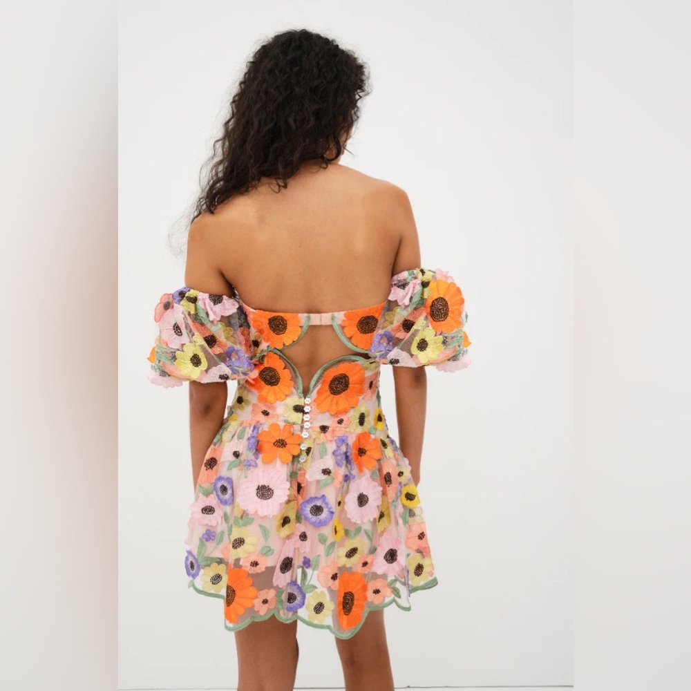 For Love & Lemons Prato Floral Mini Dress in Multi - Picture 3 of 14